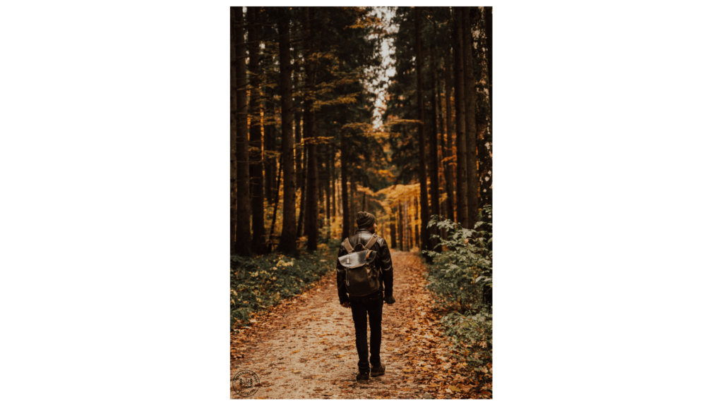 Person walking along a forest trail surrounded by autumn leaves in Calgary, Alberta